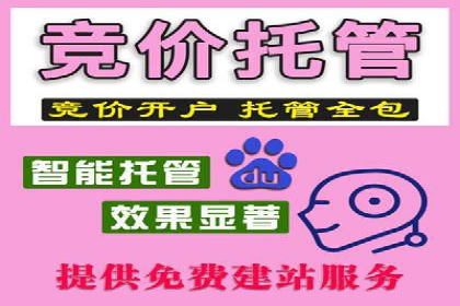 某旅游网站SEM优化案例：如何吸引目标用户